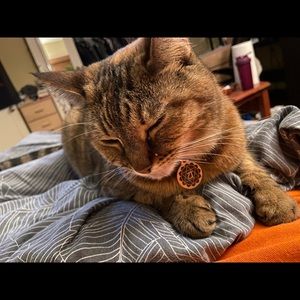 Meet your Posher, Gemma